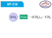 HP-C18 200Å - 10µm