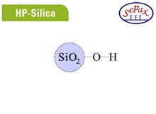 HP-Silica 120Å - 10µm